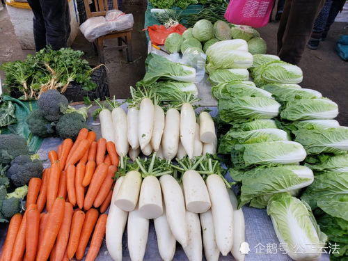 保山市隆阳区2019年12月中旬农产品市场价格基本不变