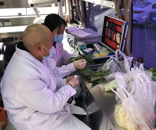 富县加强食用农产品风险监测助力疫情防控