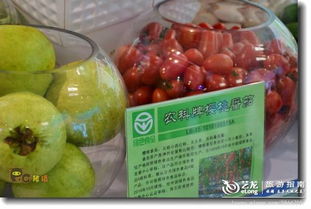 广东 佛山 安全食用农产品博览会 二 2012.09.08